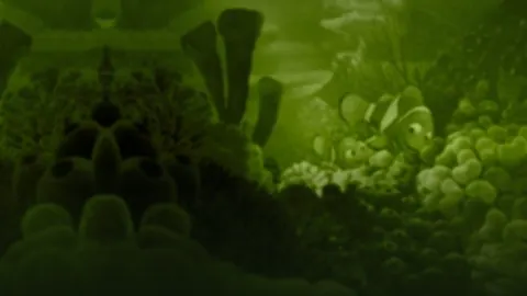 В поисках Немо