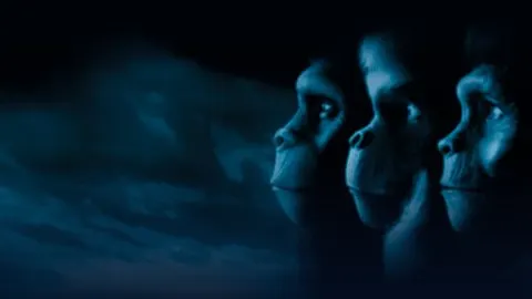 Планета обезьян